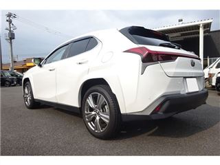 2023 LEXUS UX UX250h Special Edition Graceful Explorer photo 2
