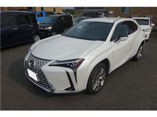 2023 LEXUS UX UX250h Special Edition Graceful Explorer photo 5