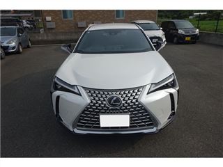 2023 LEXUS UX UX250h Special Edition Graceful Explorer photo 4