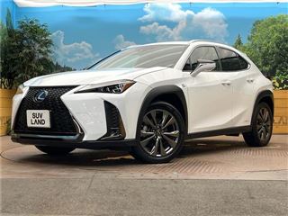 2021 LEXUS UX UX250h F Sport