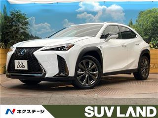 2021 LEXUS UX UX250h F Sport photo 4