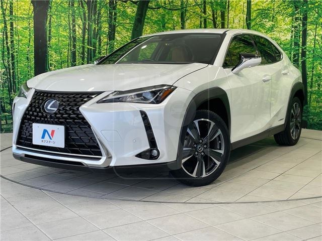 2021 LEXUS UX UX250h Version C