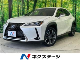 2021 LEXUS UX UX250h Version C photo 4