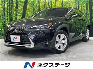 2023 LEXUS UX UX250h Version C photo 4