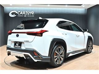 2021 LEXUS UX UX250h Hybrid F Sport photo 2