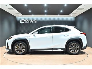 2021 LEXUS UX UX250h Hybrid F Sport photo 5