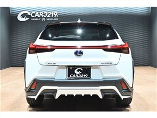 2021 LEXUS UX UX250h Hybrid F Sport photo 4