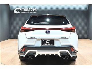 2021 LEXUS UX UX250HF Sport photo 4