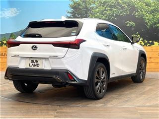 2021 LEXUS UX UX250h F Sport photo 5