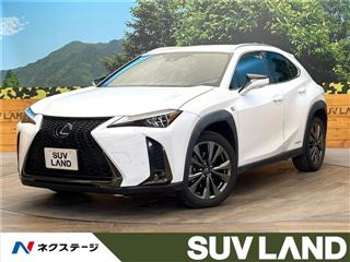 2021 LEXUS UX UX250h F Sport photo 4