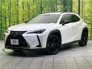 2021 LEXUS UX UX250h Special Edition Urban Elegance