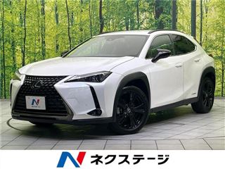 2021 LEXUS UX UX250h Special Edition Urban Elegance photo 4
