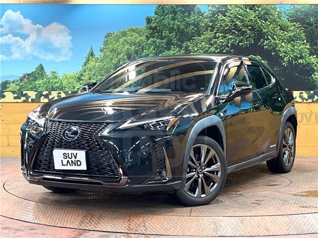 2021 LEXUS UX UX250h F Sport