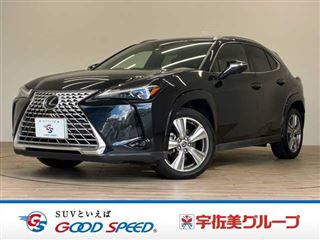 2022 LEXUS UX UX250h “Graceful Explorer”