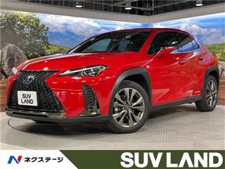 2021 LEXUS UX UX250h F Sport photo 4