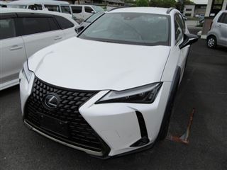 2021 LEXUS UX 250h Urban Elegance
