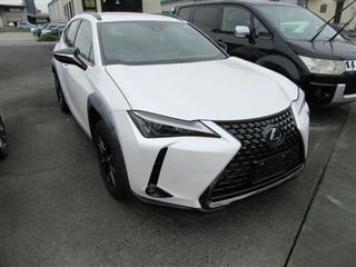 2021 LEXUS UX 250h Urban Elegance photo 3