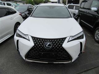 2021 LEXUS UX 250h Urban Elegance photo 2