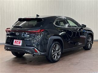 2023 LEXUS UX UX250h “F SPORT” photo 3