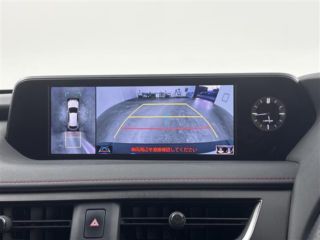 2021 LEXUS UX 250h F Sport photo 5