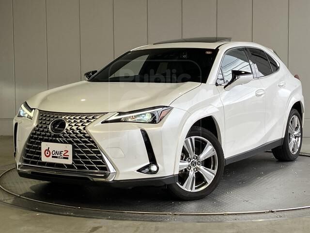 2023 LEXUS UX 250h Graceful Explorer Pre-Collision System