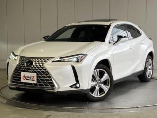 2023 LEXUS UX 250h Graceful Explorer Pre-Collision System