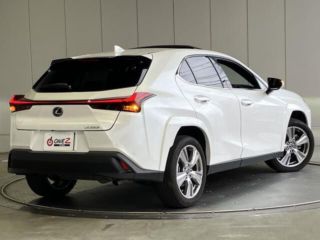2023 LEXUS UX 250h Graceful Explorer Pre-Collision System photo 2