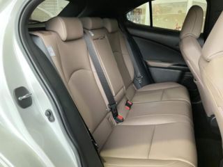 2023 LEXUS UX 250h Graceful Explorer Pre-Collision System photo 5