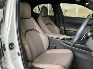 2023 LEXUS UX 250h Graceful Explorer Pre-Collision System photo 4