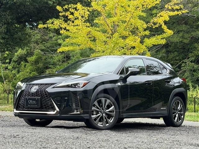 2021 LEXUS UX 250h F Sport
