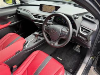 2021 LEXUS UX 250h F Sport photo 5