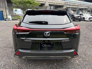 2021 LEXUS UX 250h F Sport photo 3