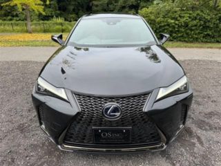 2021 LEXUS UX 250h F Sport photo 2