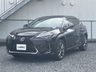 2021 LEXUS UX F Sport