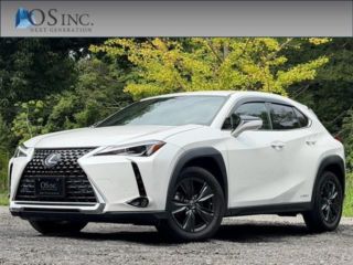2021 LEXUS UX 250h C