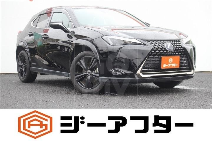 2021 LEXUS UX 250h Elegant Black