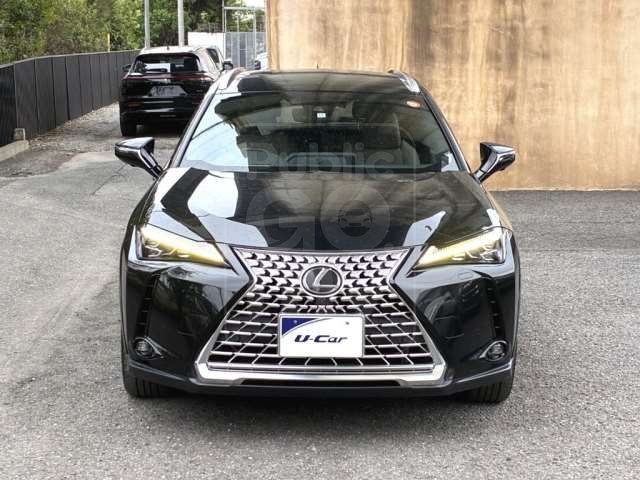2022 LEXUS UX UX250h Graceful Exploration