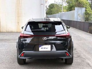 2022 LEXUS UX UX250h Graceful Exploration photo 2