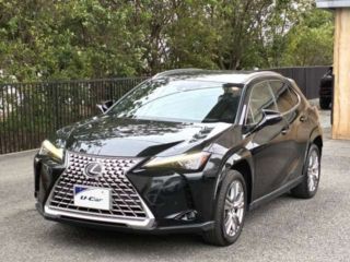 2022 LEXUS UX UX250h Graceful Exploration photo 3