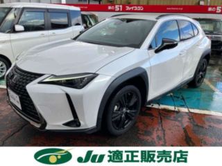 2021 LEXUS UX UX250h Urban Elegance 1