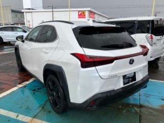 2021 LEXUS UX UX250h Urban Elegance 1 photo 2