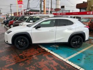2021 LEXUS UX UX250h Urban Elegance 1 photo 4