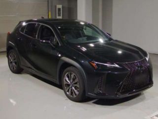2023 LEXUS UX UX250h F Sport photo 3