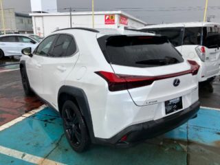 2021 LEXUS UX h Urban Elegance photo 2