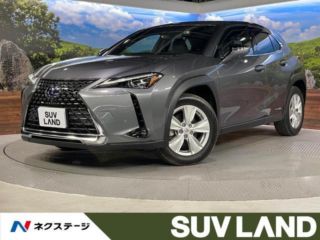 2022 LEXUS UX UX250h Version C