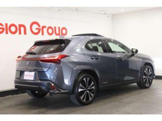 2021 LEXUS UX 250h F Sport Style Blue photo 3
