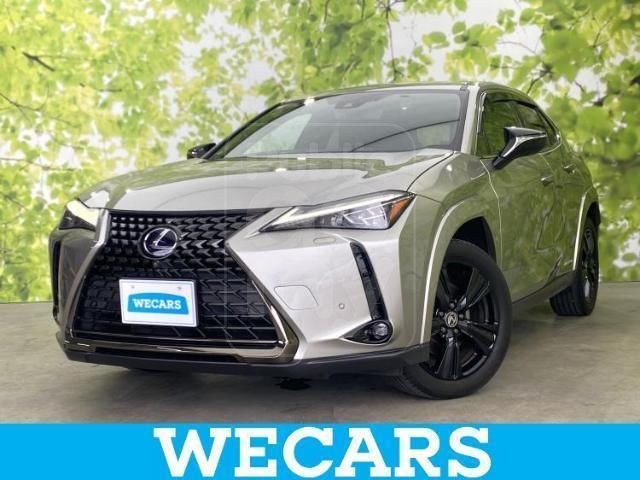 2021 LEXUS UX UX250h Elegant Black