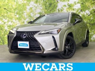 2021 LEXUS UX UX250h Elegant Black
