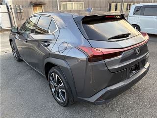 2024 LEXUS UX UX300h Version L photo 2