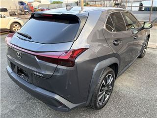 2024 LEXUS UX UX300h Version L photo 5